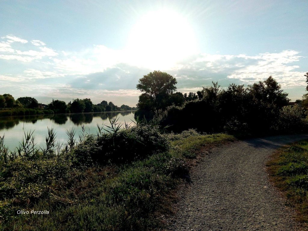 Artessura da oasi da sogno a progetto realizzabile-Panorama
