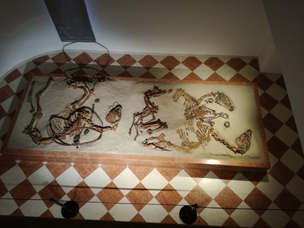 Adria potenza economica nell'adriatico- Tomba Della Biga Museo Archeologico Di Adria