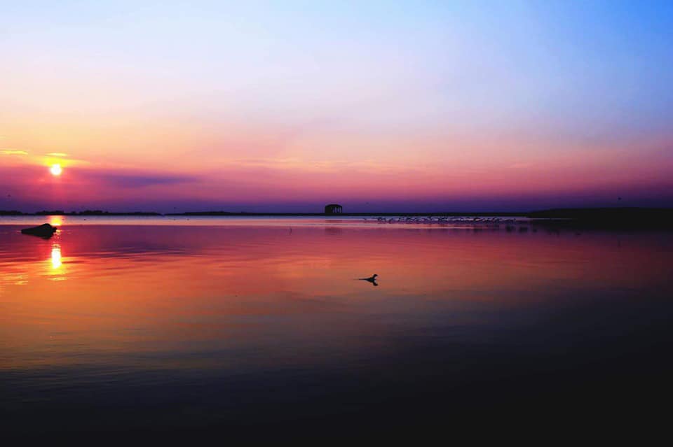 un lavoro meraviglioso- i colori del delta del po