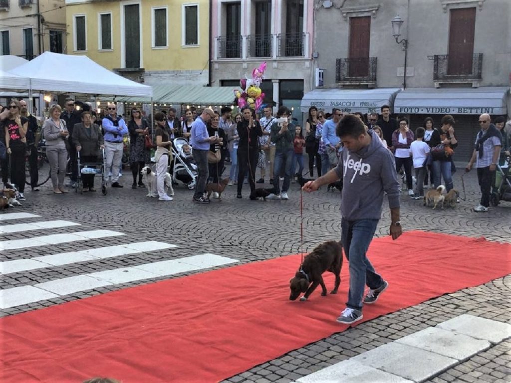 Torna il Settembre Adriese-bausfilata