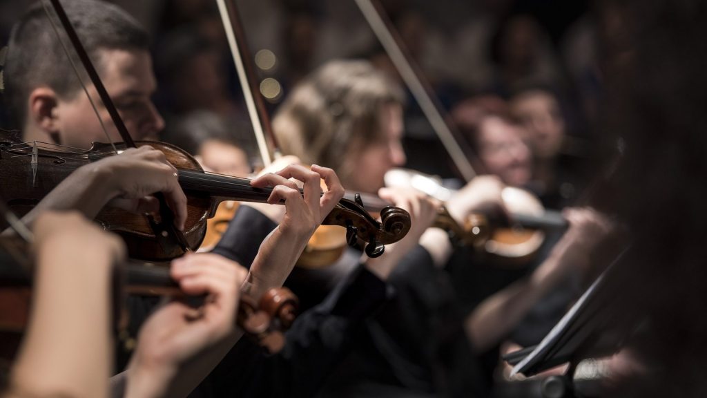 Cropped Piccola Orchestra.jpg