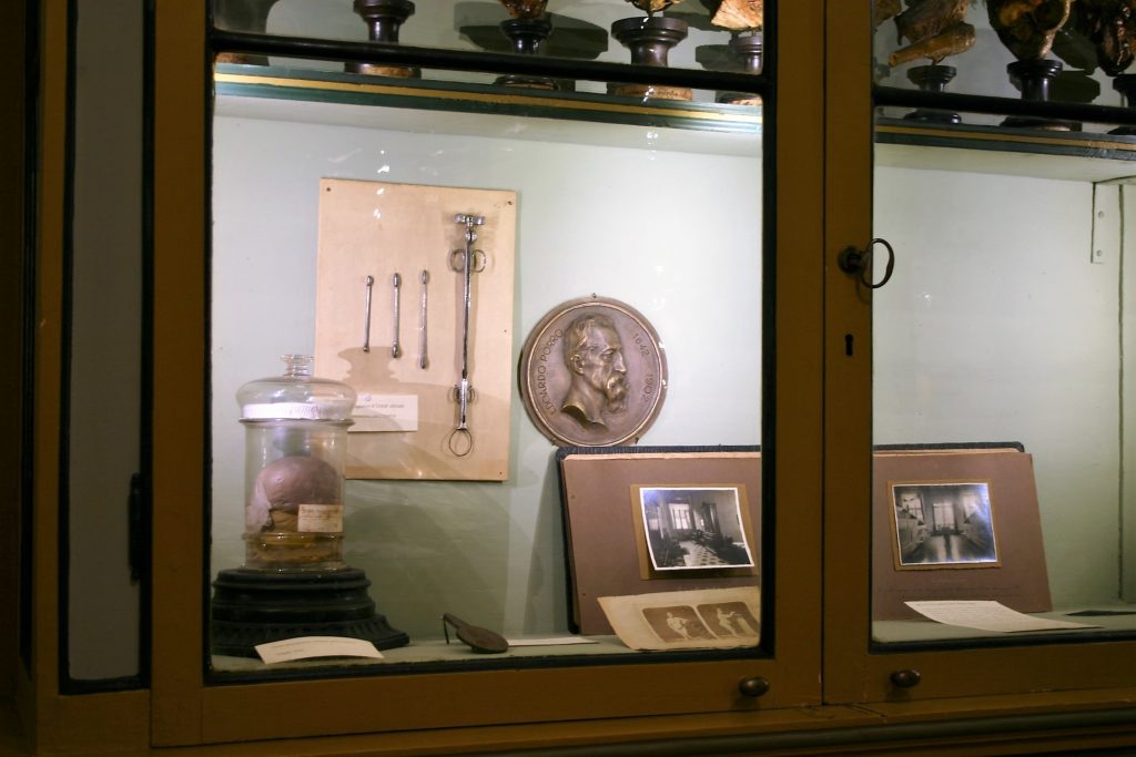 Giulia Cavallini vetrina dedicata al dott. Porro al Museo per la Storia dell'Università di Pavia