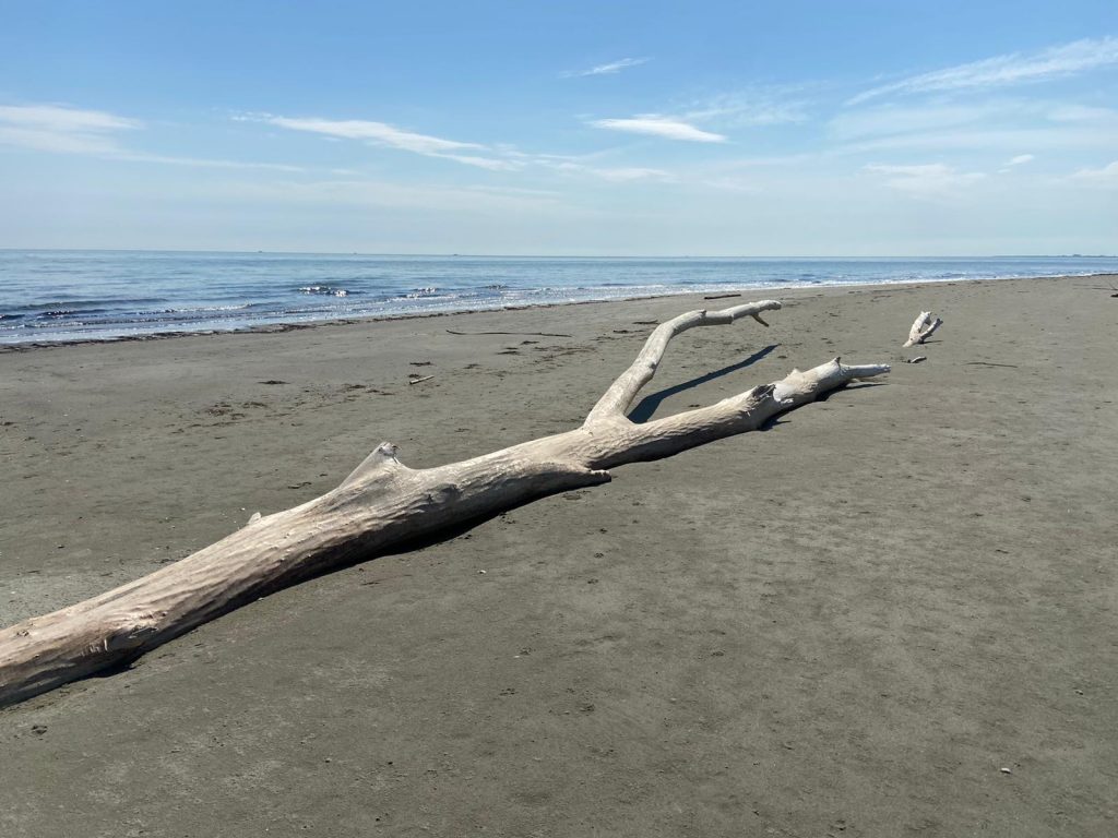 Spiaggia Boccasette