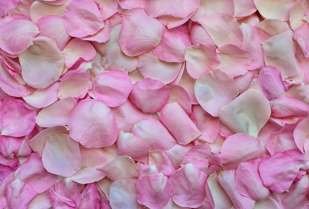 Confetture dei frutti dimenticati Petali Di Rosa