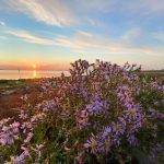 Tramonti E Albe Nel Delta Del Po
