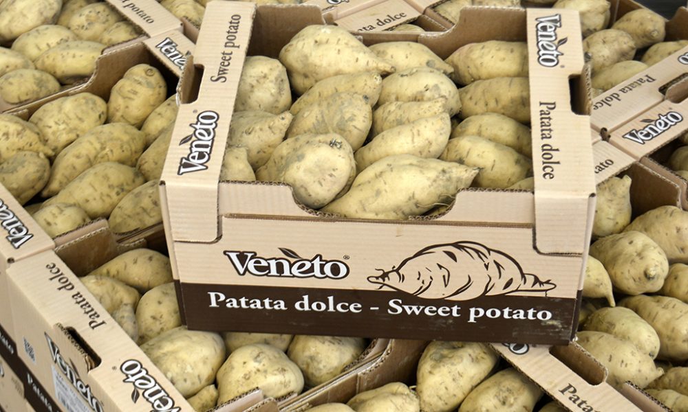 Patate Americane