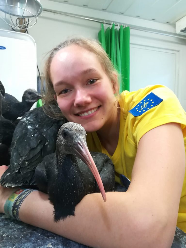 Delta del Po, scrigno di biodiversità Ibis E Helena