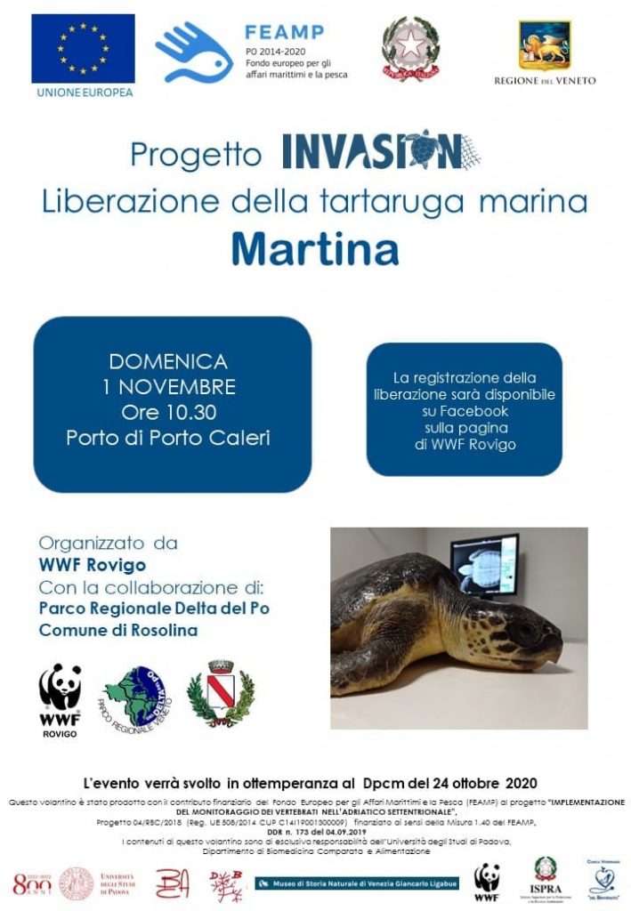 La tartaruga marina Martina Locandina