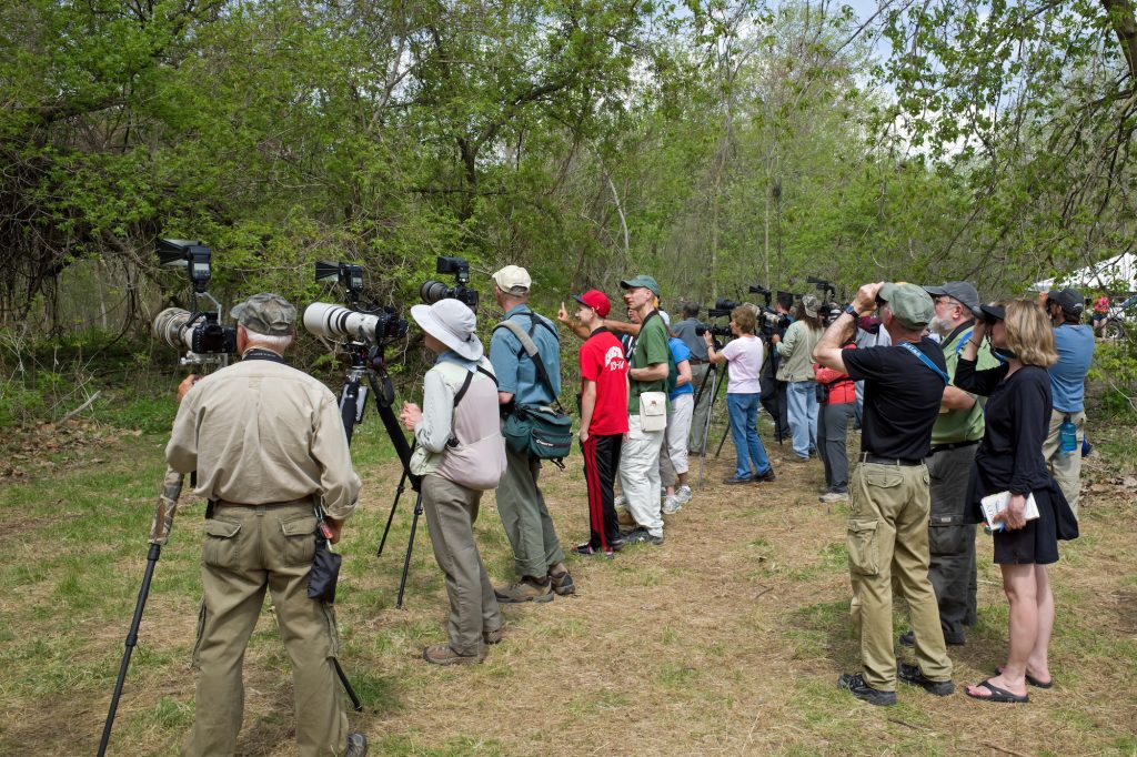 Birdwatching Exsperience Bird Watcher