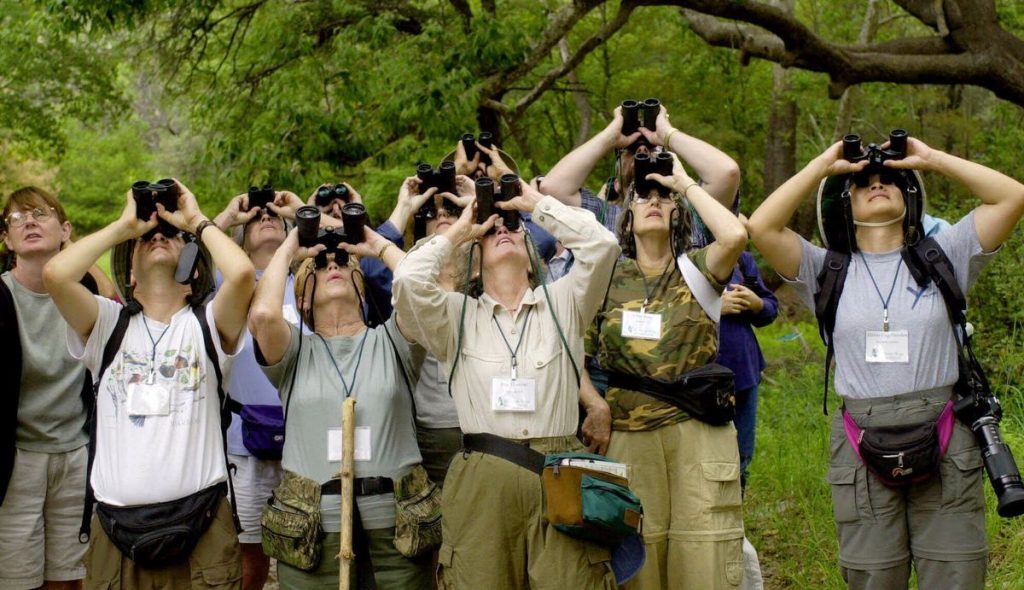 Birdwatching Exsperience Bw