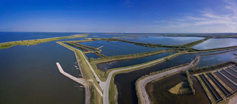 Birdwatching Exsperience Ciusa E Ripiego