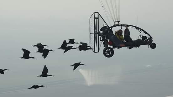 Delta del Po, scrigno di biodiversità Deltaplano E Ibis Bis