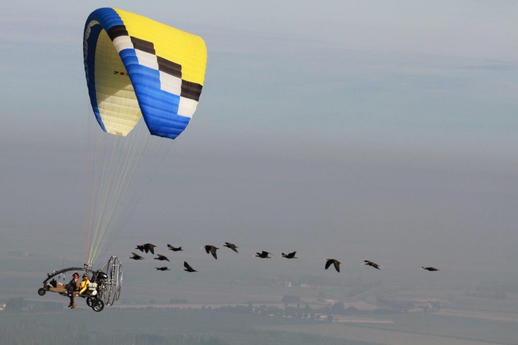 Delta del Po, scrigno di biodiversità Ibis E Deltaplano Ter