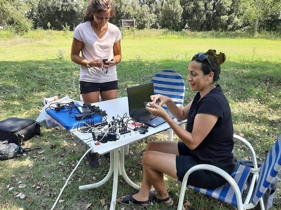 Delta del Po, scrigno di biodiversità Lettura Dei Radiocollari