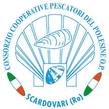 Consorzio