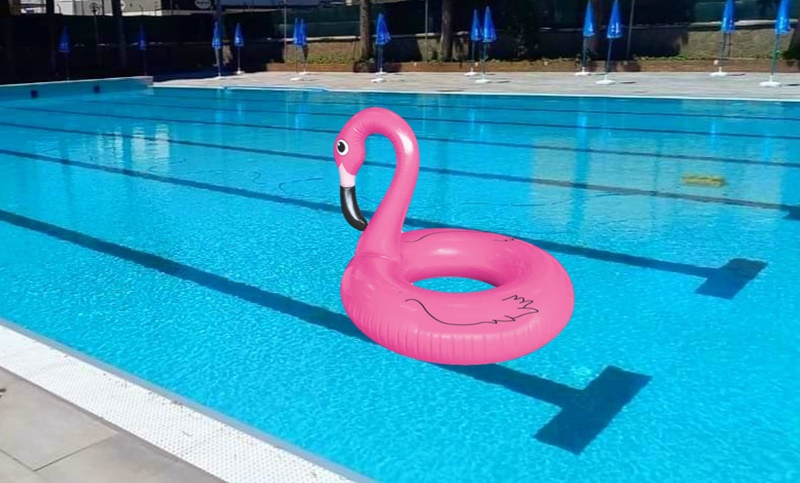 Come comportarsi in piscina - Piscina  con cigno rosa
