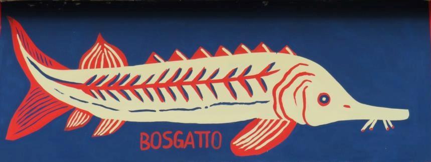 La Tamisiana Repubblica di Bosgattia Bosgatto