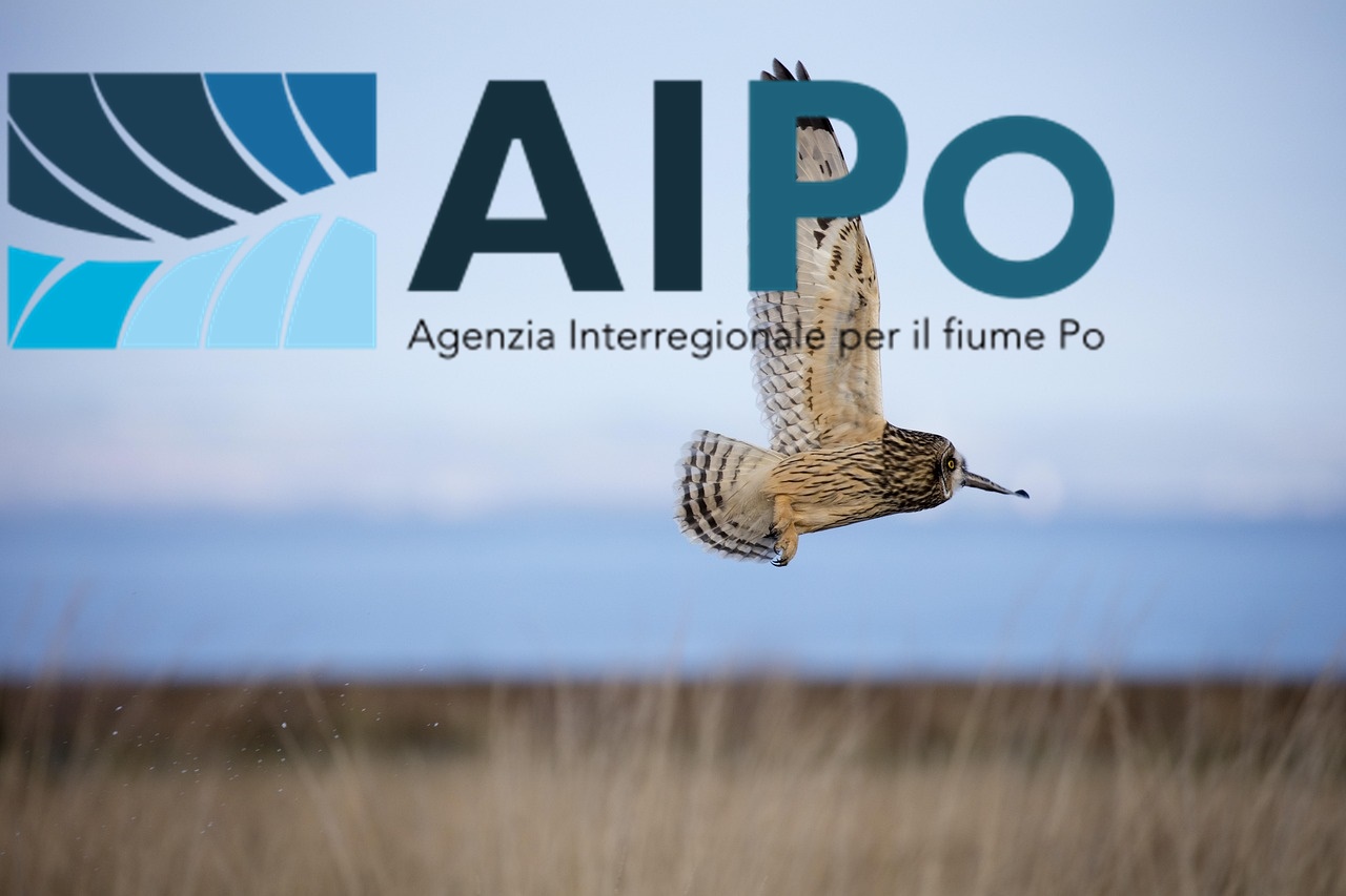 AIPO in Adria - auf dem Foto