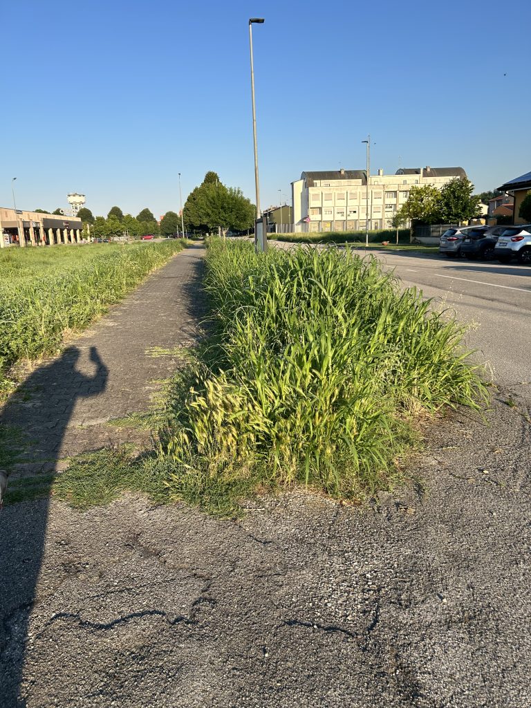 Img 2843