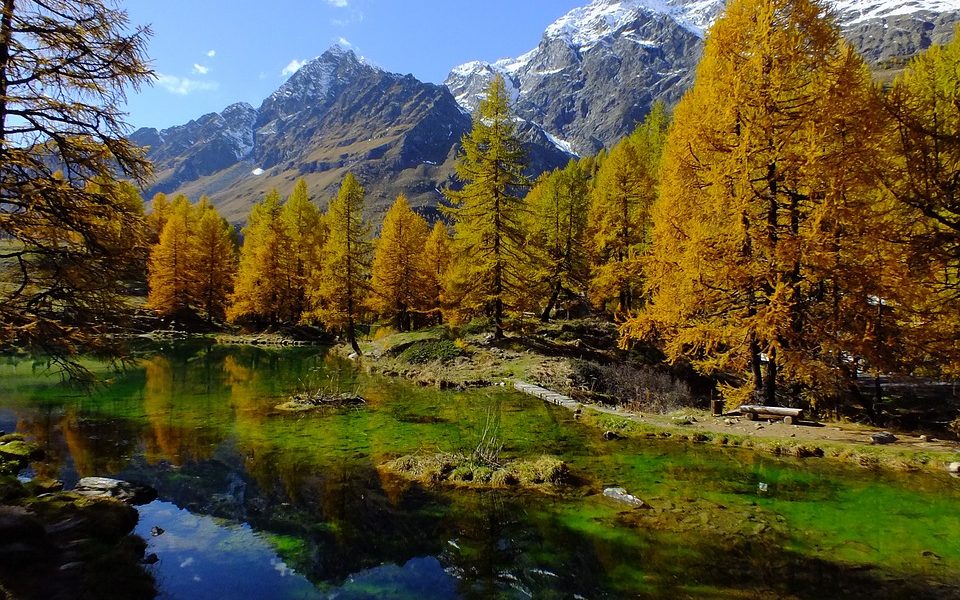Paesaggio In Valle d'Aosta alberi e montagne