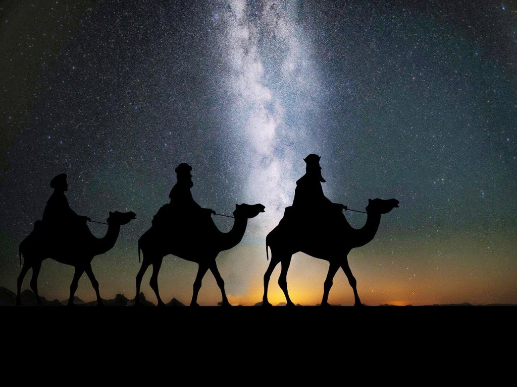 Cabalgada de Reyes Magos- Camels