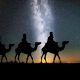 Cabalgada de Reyes Magos- Camels