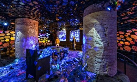 Casa Batlló 10d Experience