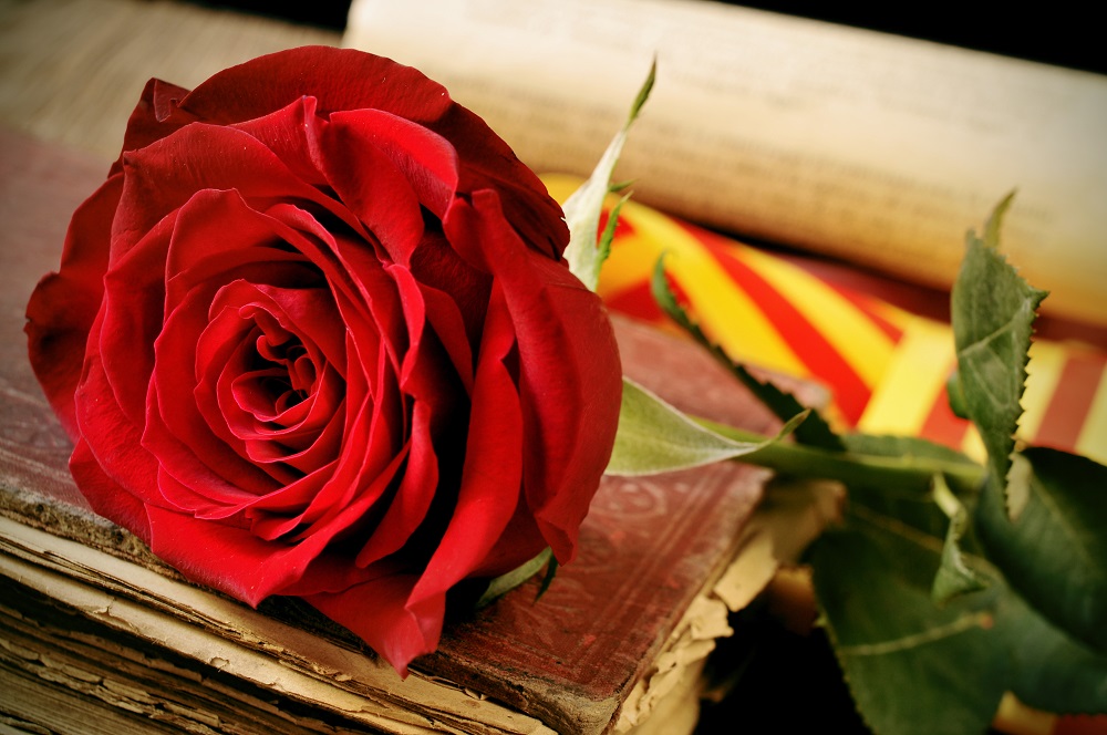 Sant Jordi - giorno del libro e della rosa