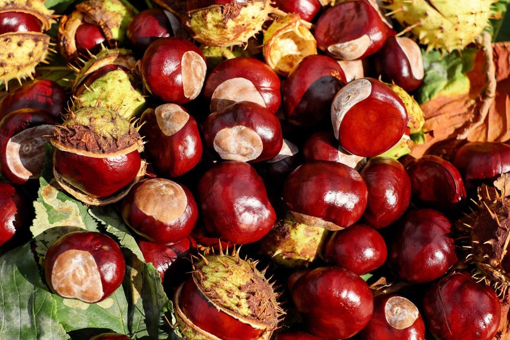 La Castañada Castagne