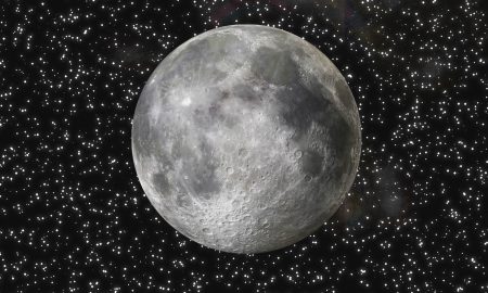 Rosedal - Evento bajo la luna llena