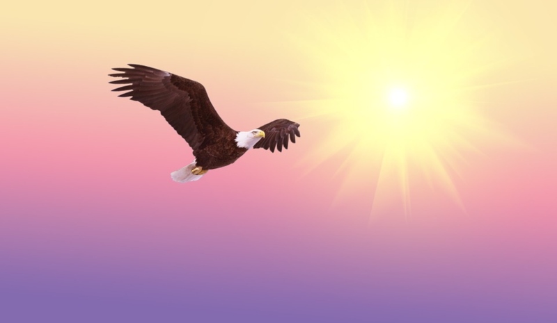 25 de mayo - Aguila
