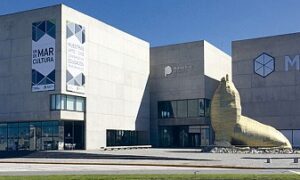 Museo Frente
