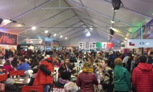 Feria De Las Colectividades