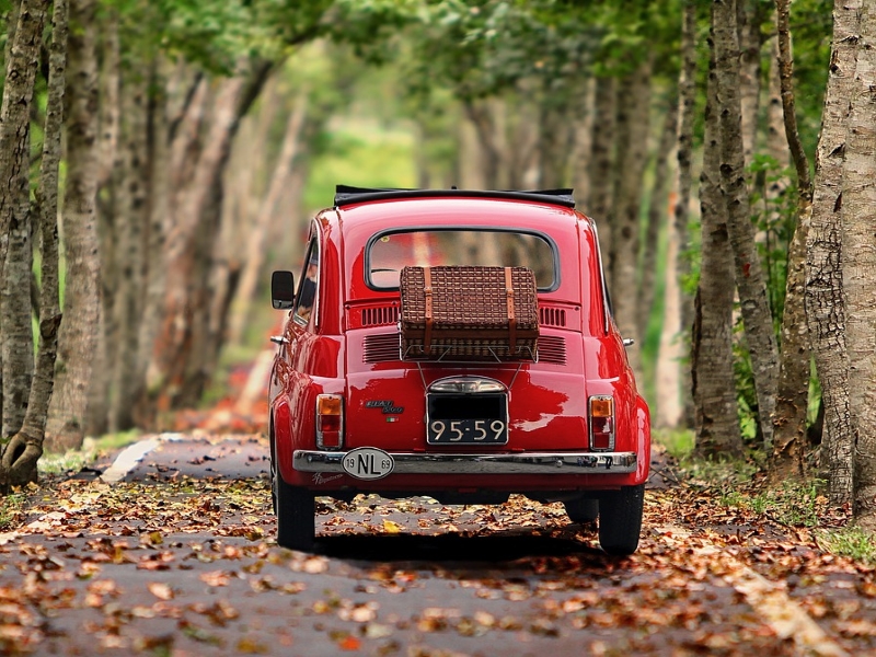 Pasantías Viajar A Italia