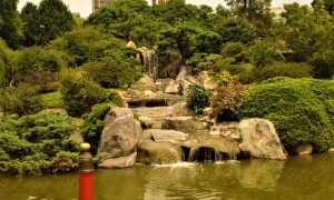 Jardin Japones - Cascada