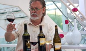 Degustacion De Vinos