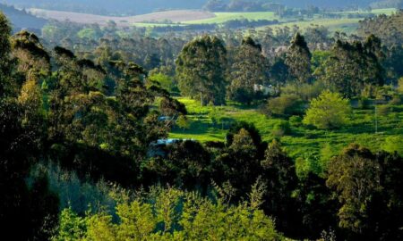 Cropped Sierra De Los Padres Vista.jpg
