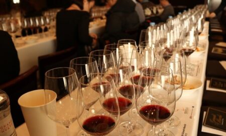 Cropped Curso Cata De Vinos.jpg