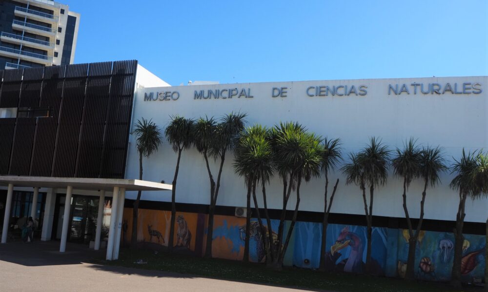 Museo De Ciencias Naturales