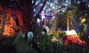 Casita De Navidad