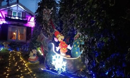 Ingreso A La Casita De Navidad