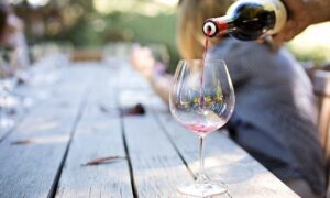 Verano En Mendoza Degustacion