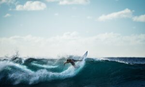 Surfeando
