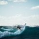 Surfeando