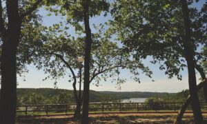 Costanera De Eldorado