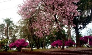Plaza Belgrano En Apóstoles