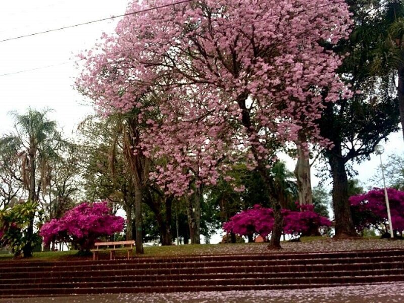 Plaza Belgrano En Apóstoles