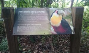 Cartel Con Tucan