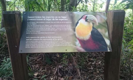 Cartel Con Tucan