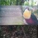 Cartel Con Tucan